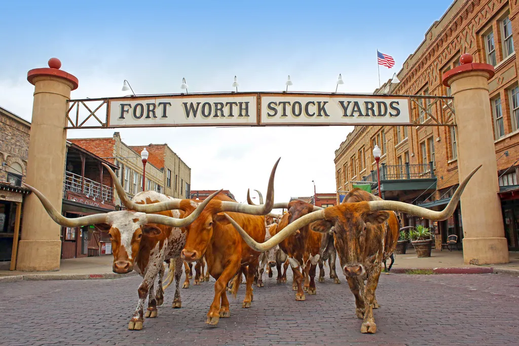 Fort Worth Travel Guide