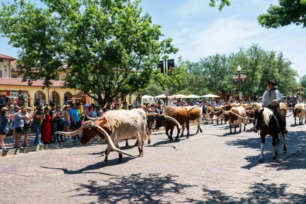Fort Worth