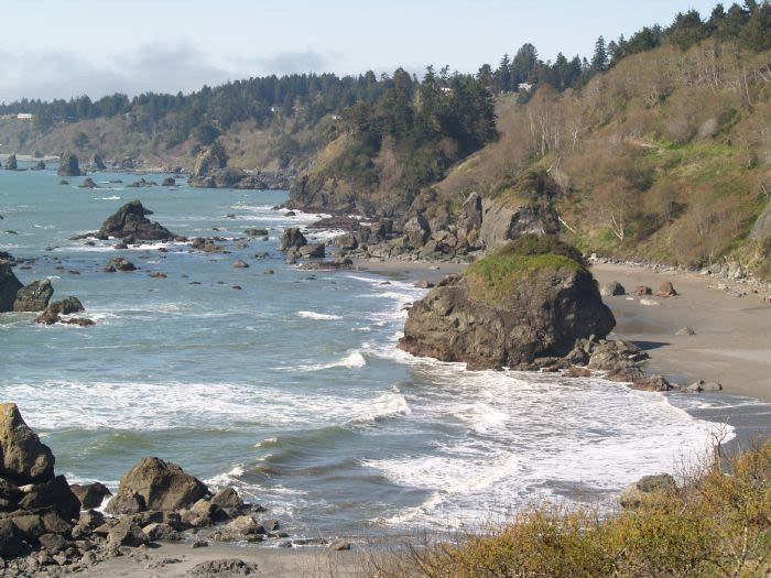 Humboldt Bay